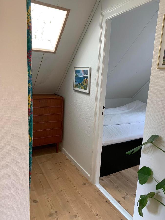 فيلا Cosy House In The Heart Of توئِسهون المظهر الخارجي الصورة
